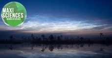 Orang-outan, nuage noctulescent et trou noir, les 8 actus sciences que vous devez connaître ce 20 juin