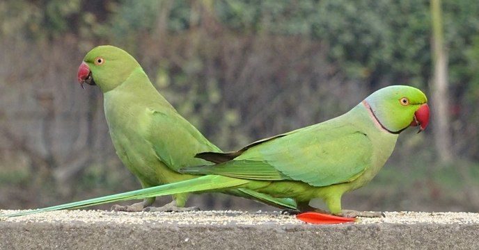 Les 8 actus sciences que vous devez connaître ce 15 mai