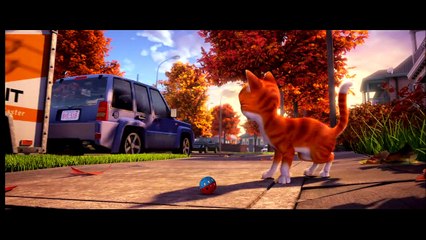 Büyüler Evi: Sihirbaz Kedi Türkçe Dublajlı Fragman