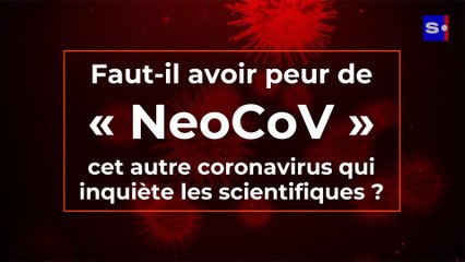 Faut-il craindre « NeoCoV », cet autre coronavirus inquiète les scientifiques ?