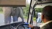 Quand un éléphant attaque un bus pour réclamer un 
