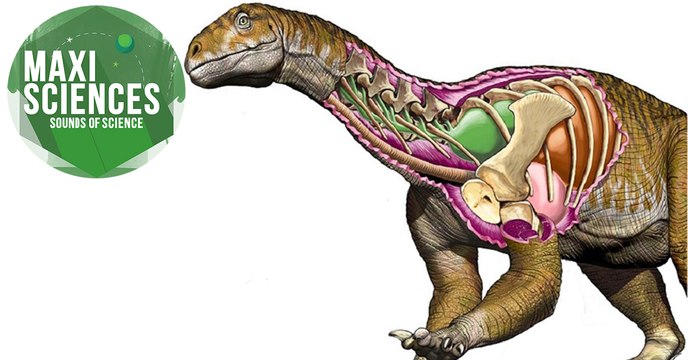 Dinosaure géant, iceberg et vieux pigment, les 8 actus sciences que vous devez connaître ce 11 juillet