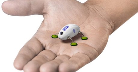 Des cafards robotiques mis au point par Rolls Royce pourraient révolutionner la maintenance aéronautique