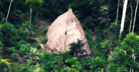 Les images inédites d'une tribu isolée filmées en Amazonie depuis les airs