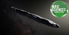 Oumuamua, café et physique du tricot, les 8 actus sciences que vous devez connaître ce 2 juillet