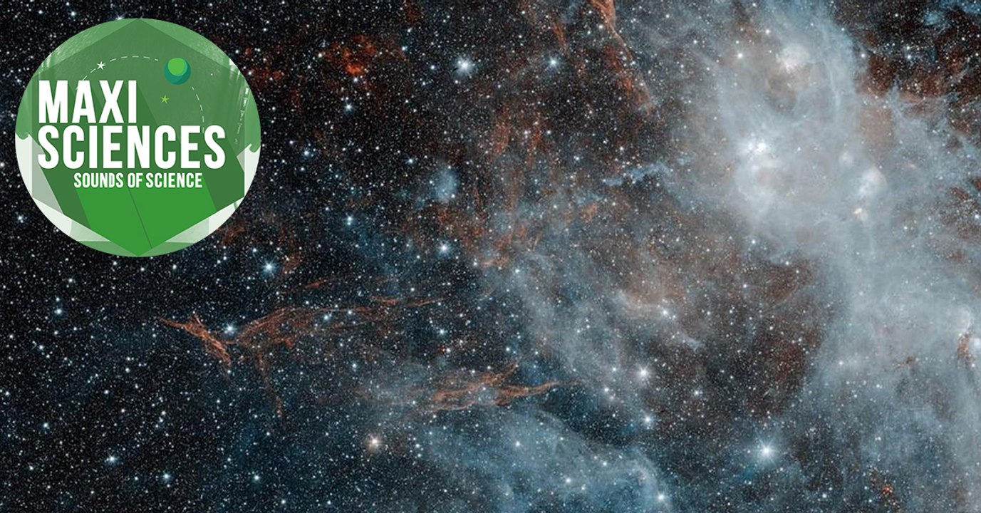 Mésanges, poumons et record de température, les 8 actus science que vous devez connaitre ce 5 août