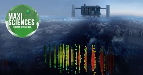 Mystérieux papyrus, crâne d'éléphant et astéroïde, les 8 actus sciences que vous devez connaître ce 14 juillet