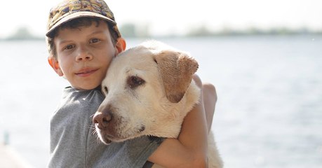 Diabète : des chiens pour détecter une glycémie anormale chez les enfants diabétiques