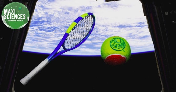 Fossile, fourmi voleuse et tennis cosmique, les 8 actus sciences que vous devez connaître ce 24 août