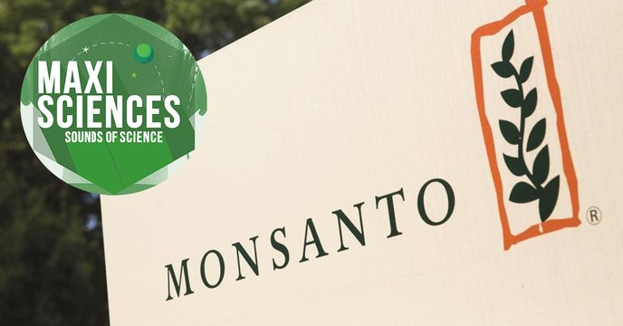 Abeilles, cellules et plumes, les 8 actus sciences que vous devez connaître ce 14 août