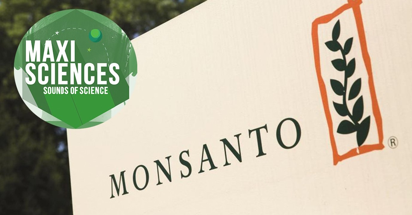 Abeilles, cellules et plumes, les 8 actus sciences que vous devez connaître ce 14 août