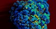 VIH : Un vaccin expérimental contre le virus du SIDA montre des résultats prometteurs