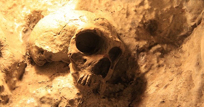 Le changement climatique pourrait avoir aidé Homo sapiens à remplacer Néandertal en Europe