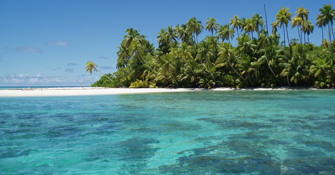 Les zones sauvages des océans ne cessent de régresser et pourraient bientôt disparaître