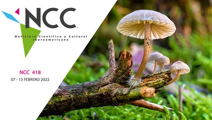 Noticiero Científico y Cultural Iberoamericano, emisión 418. 07 al 13 de febrero de 2022