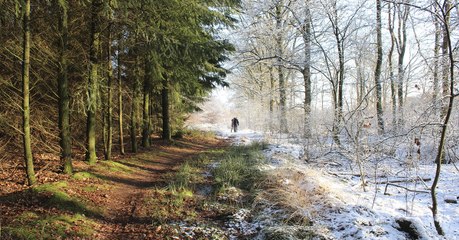 Les saisons se dérèglent, et les experts pointent du doigt l'activité humaine