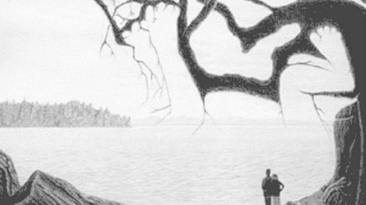 Was versteckt sich noch in diesem Bild?