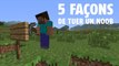 Minecraft : 5 façons de piéger un noob