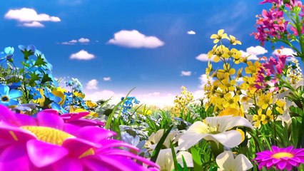 Arı Maya - Dublajlı Fragman