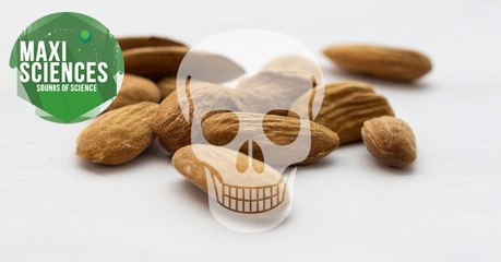 Arbre sacré, planète Mars et abricot, les 8 actus sciences que vous devez connaître ce 1er août