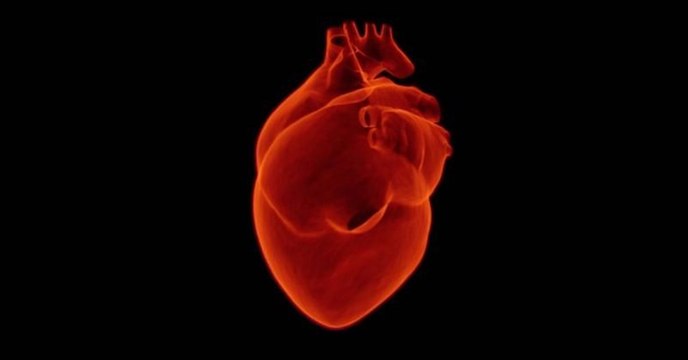 L'intelligence artificielle prédit mieux que les médecins les risques de décès liés à une maladie cardiovasculaire