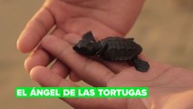 Tráfico de tortugas: salvando a los animales de una cruel costumbre