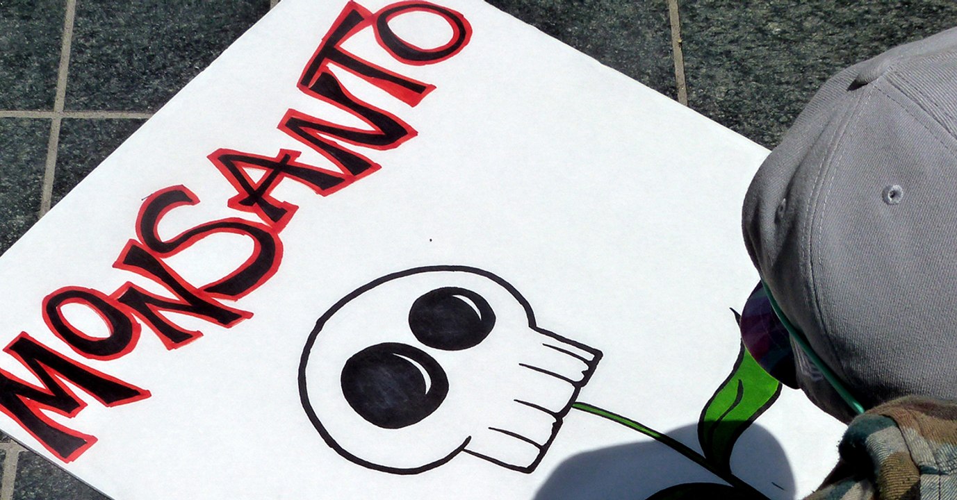 Roundup : un tribunal condamne Monsanto à payer 290 millions de dollars de dommages à un jardinier américain