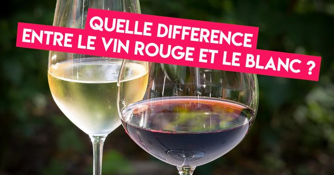 Quelle est la différence entre le vin rouge et le vin blanc ?