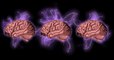 Des scientifiques ont réussi à connecter le cerveau de trois personnes afin de partager leurs pensées