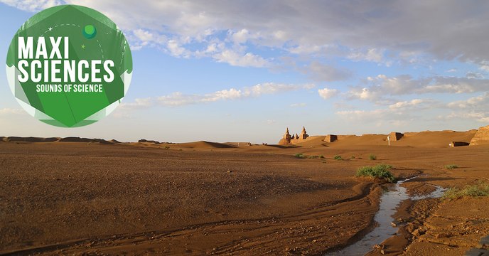 Alligator, base martienne et grippe, les 8 actus sciences que vous devez connaître ce 22 octobre