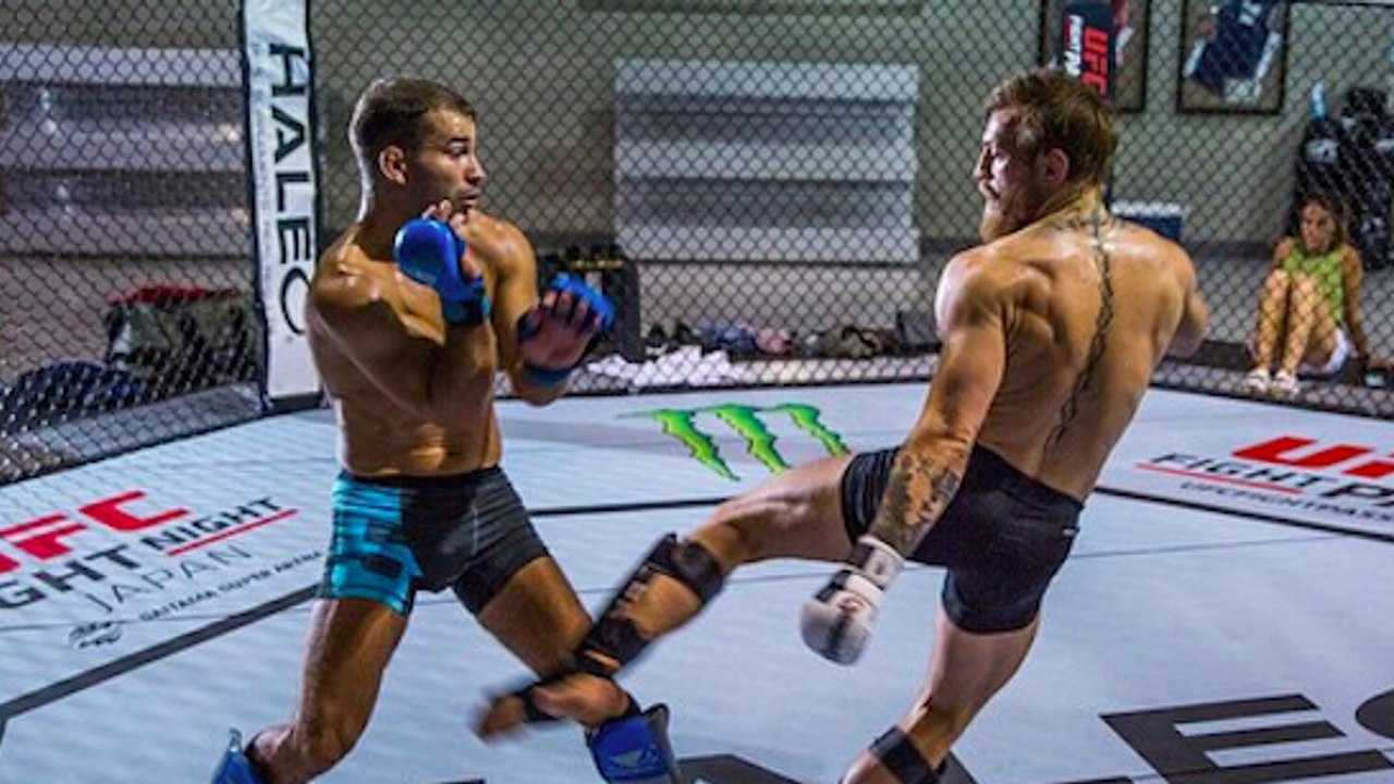 Conor McGregor soll im Training KO geschlagen worden sein