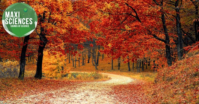 Baleine, gras et truffes, les 8 actus sciences que vous devez connaître ce 8 septembre