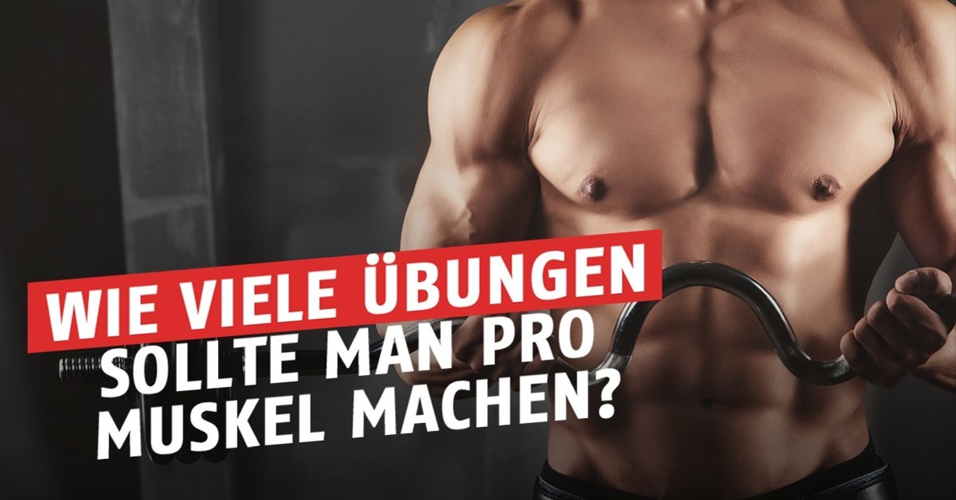 Wie viele Übungen solltet ihr pro Muskelpartie machen?