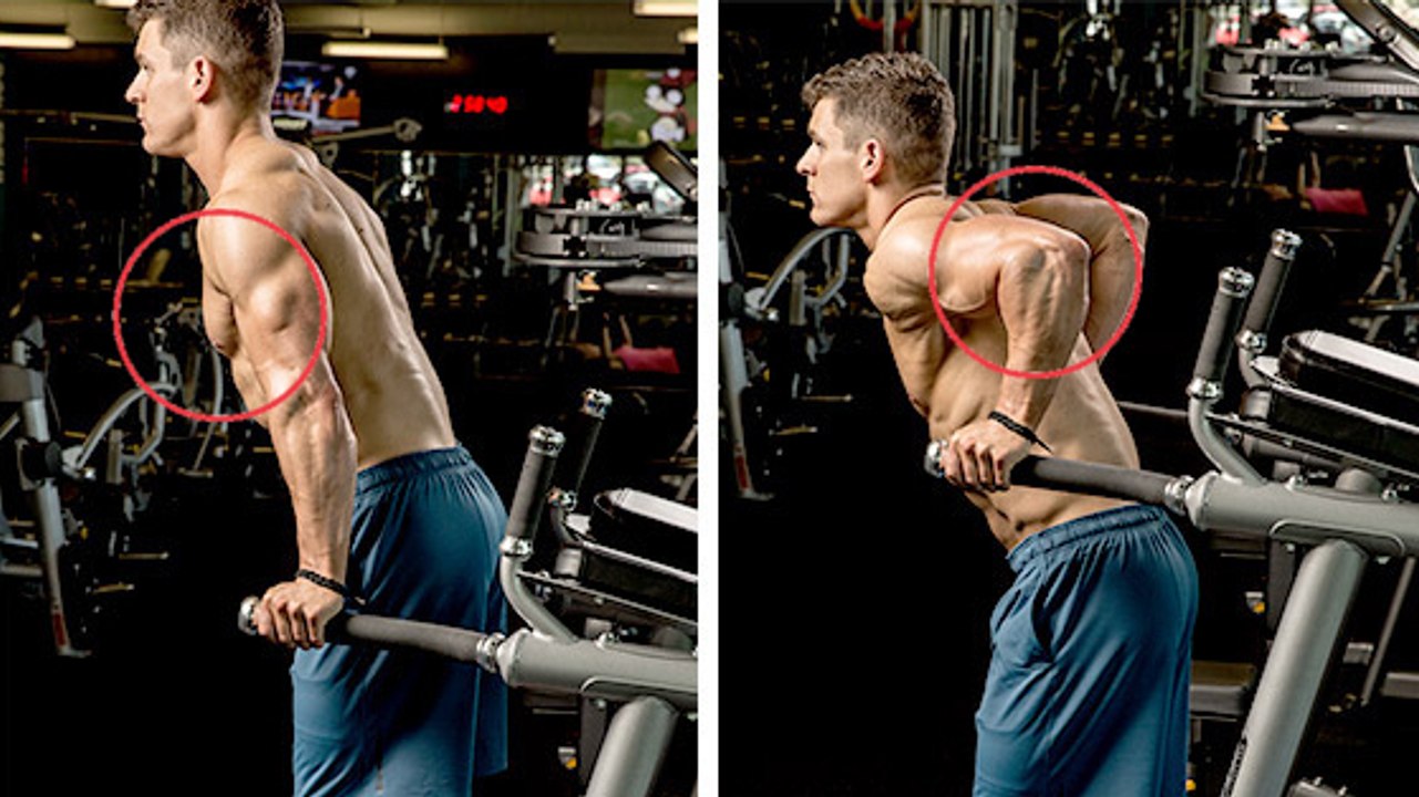 Starke Brustmuskeln durch Dips