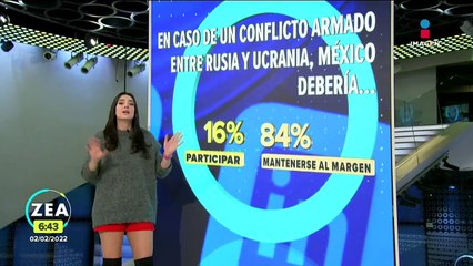 Ofrecen Corvette como recompensa por perrito perdido