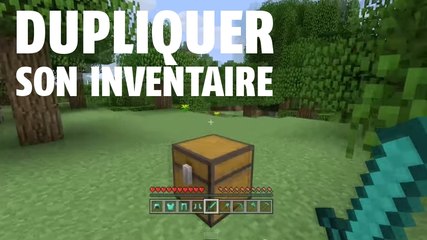 Minecraft : la méthode ultime pour dupliquer son stuff