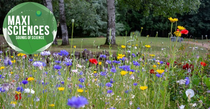 Astronomie, biodiversité et bébés génétiquement modifiés, les 8 actus sciences que vous devez connaître ce 29 novembre
