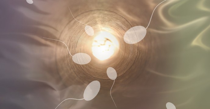 Fertilité : Le sperme humain est en danger