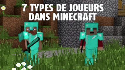 Minecraft : les 7 types de joueurs qu'on a tous rencontrés dans le jeu