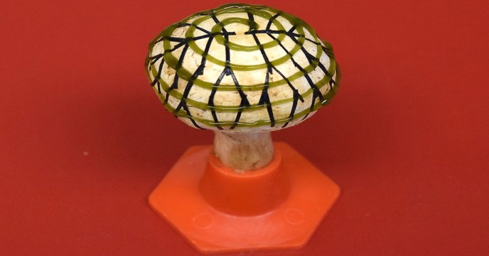 Des chercheurs créent un champignon bionique capable de produire de l’énergie