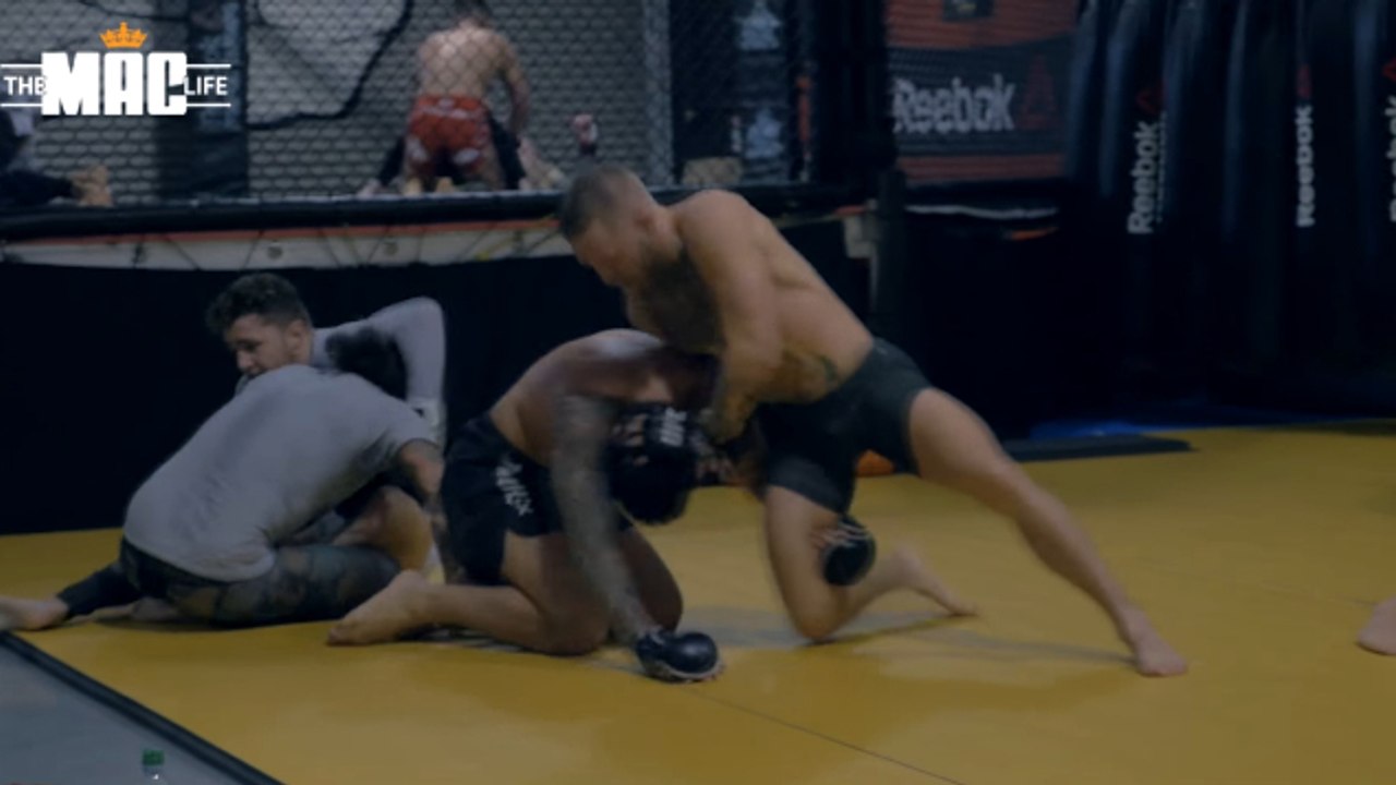 Conor McGregor bereitet sich auf den Kampf gegen Eddie Alvarez bei der UFC 205 vor