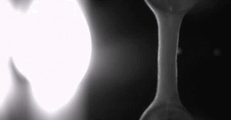 Des scientifiques ont conçu un tissu cardiaque artificiel qui bat comme un vrai cœur humain