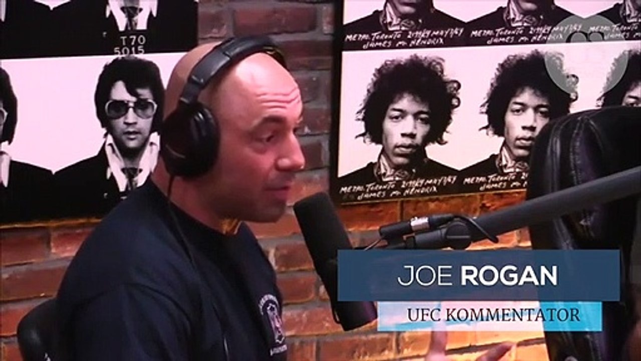 Jean Claude van Damme hätte bei der UFC gegen Wesley Snipes kämpfen können