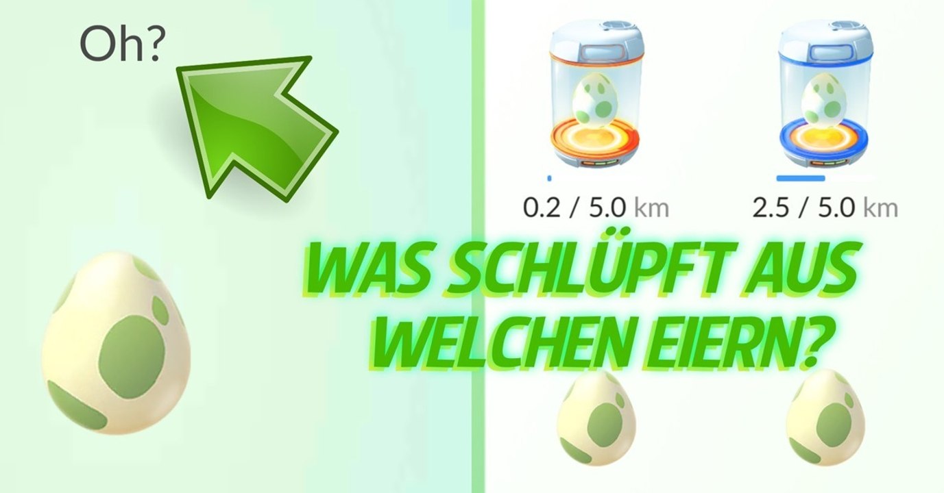 Ihr werdet euch bald nicht mehr über 2-km-Eiern ärgern, denn...