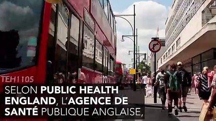 Mordu par un chat au Maroc, un britannique meurt de la rage