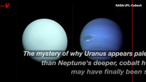 Scientists Potentially Figured Out Why Uranus and Neptune Have Different Shades of Blue