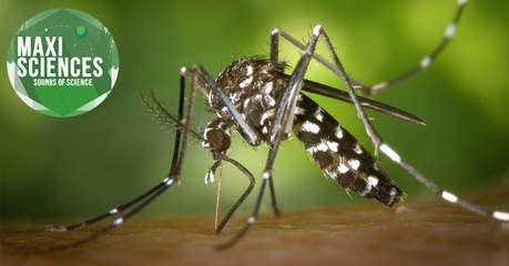 New Horizons, Jeanne Calment et "big data", les 8 actus sciences que vous devez connaître ce 3 janvier