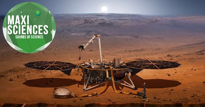 Intelligence artificielle, InSight et cornes de rhinocéros, les 8 actus sciences que vous devez connaître ce 26 novembre