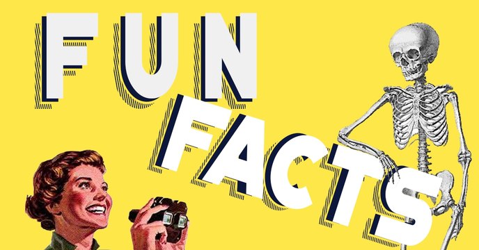 Fun facts : 5 choses insolites que vous ne savez probablement pas sur votre corps
