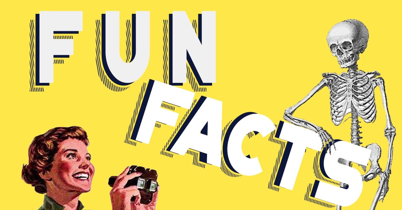Fun facts : 5 choses insolites que vous ne savez probablement pas sur votre corps